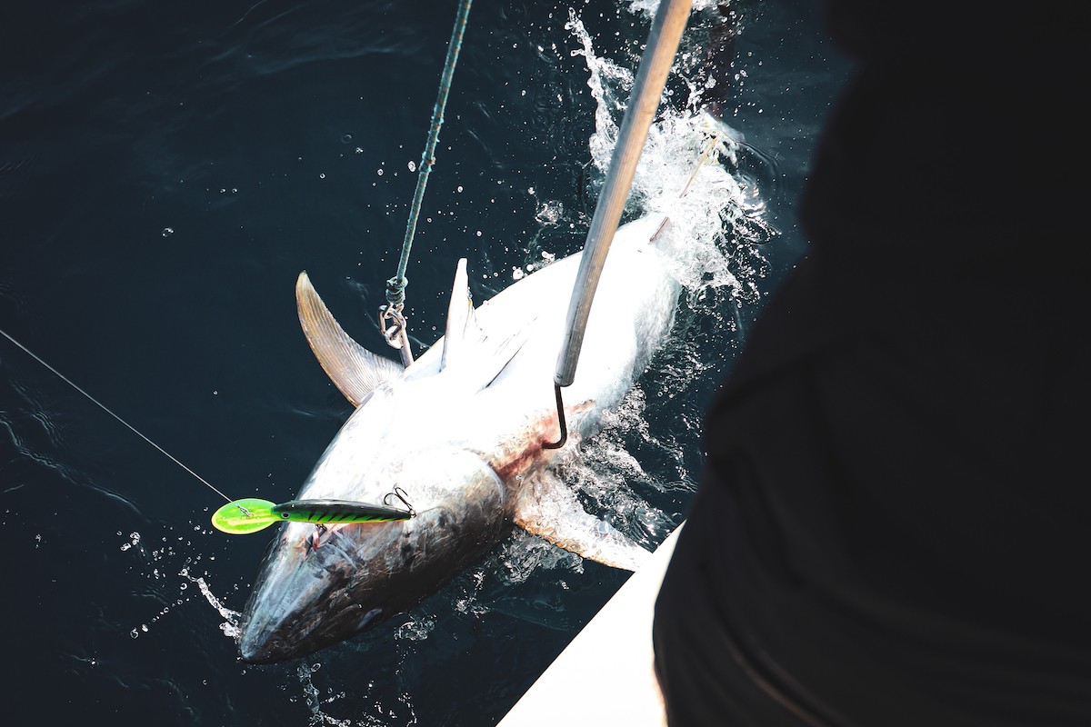 ultimate_fishing_holiday