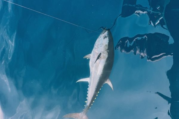 Processed with VSCO with e6 preset