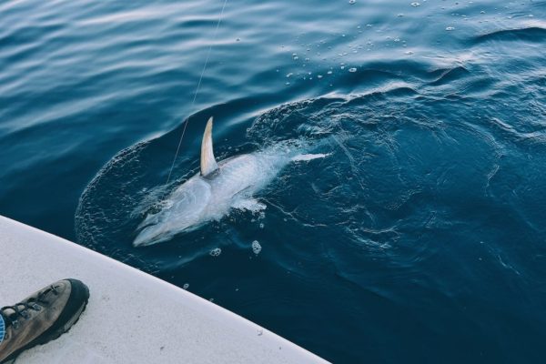 Processed with VSCO with e6 preset