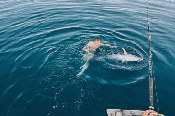 summer_fishinng_season