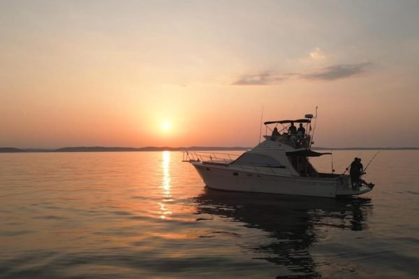 fe990cdf-a10b-48d1-ba05-d860db30f1ce